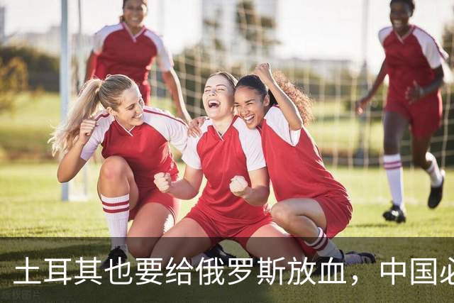 土耳其也要给俄罗斯放血，中国必须吸取教训，台海一战绝不能久拖